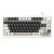 X85Pro-Cheese-1.jpg