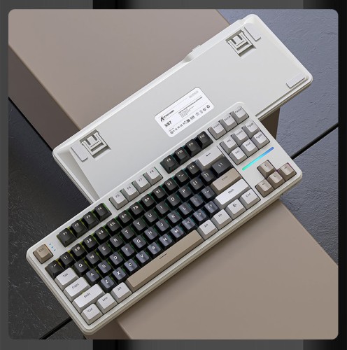 X87-Cheese-white-2.jpg