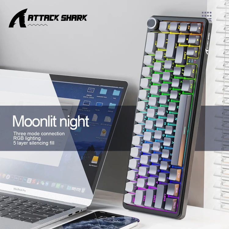 X66-MoonLight-6.jpg