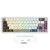 X66-Cheese-white-1.jpg