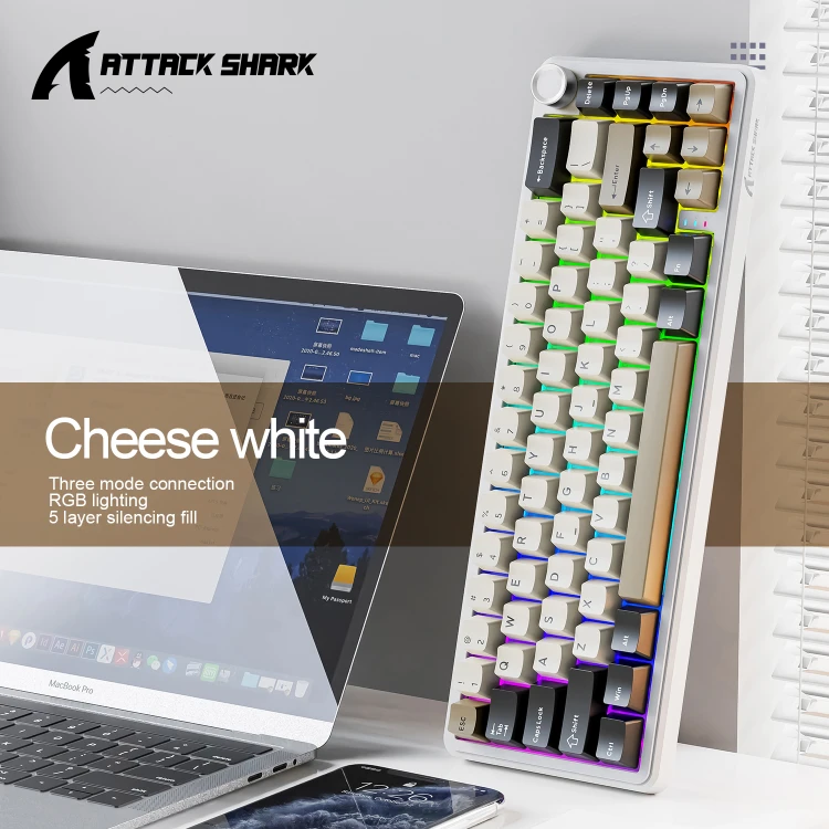 X66-Cheese-white-2.jpg