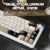 X66-Cheese-white-5.webp